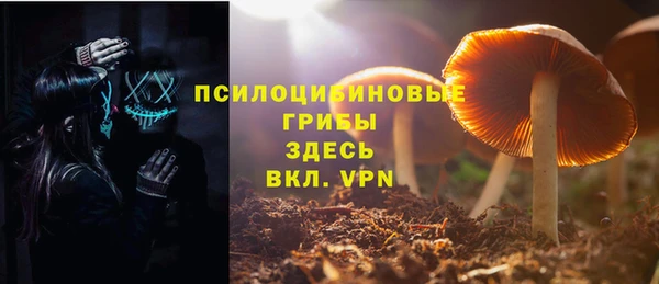 дурь Навашино