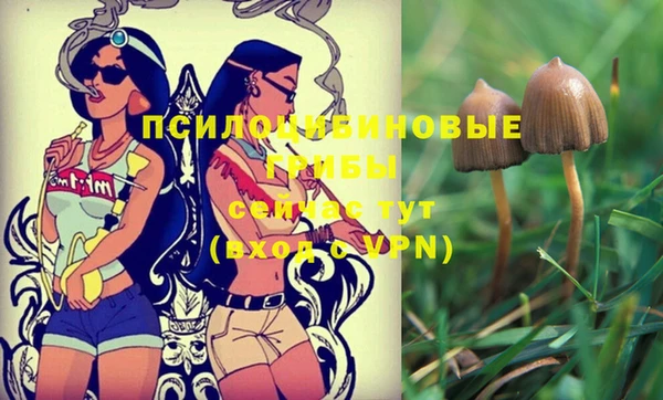 индика Нефтегорск