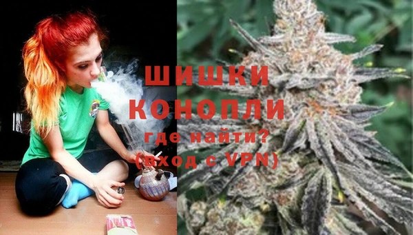 индика Нефтегорск