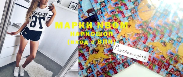 дмт Надым