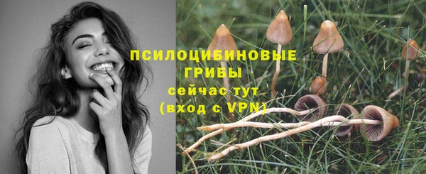соль ск Наволоки