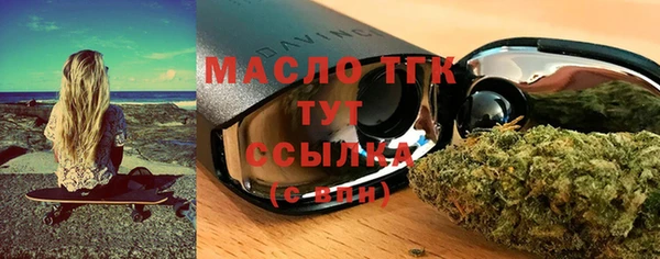 индика Нефтегорск