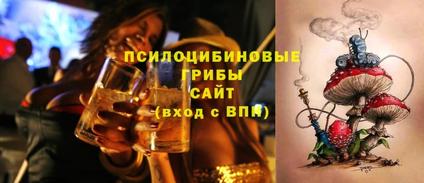 амф Нижний Тагил