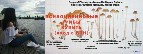 соль ск Наволоки