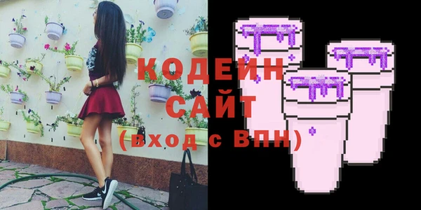 индика Нефтегорск